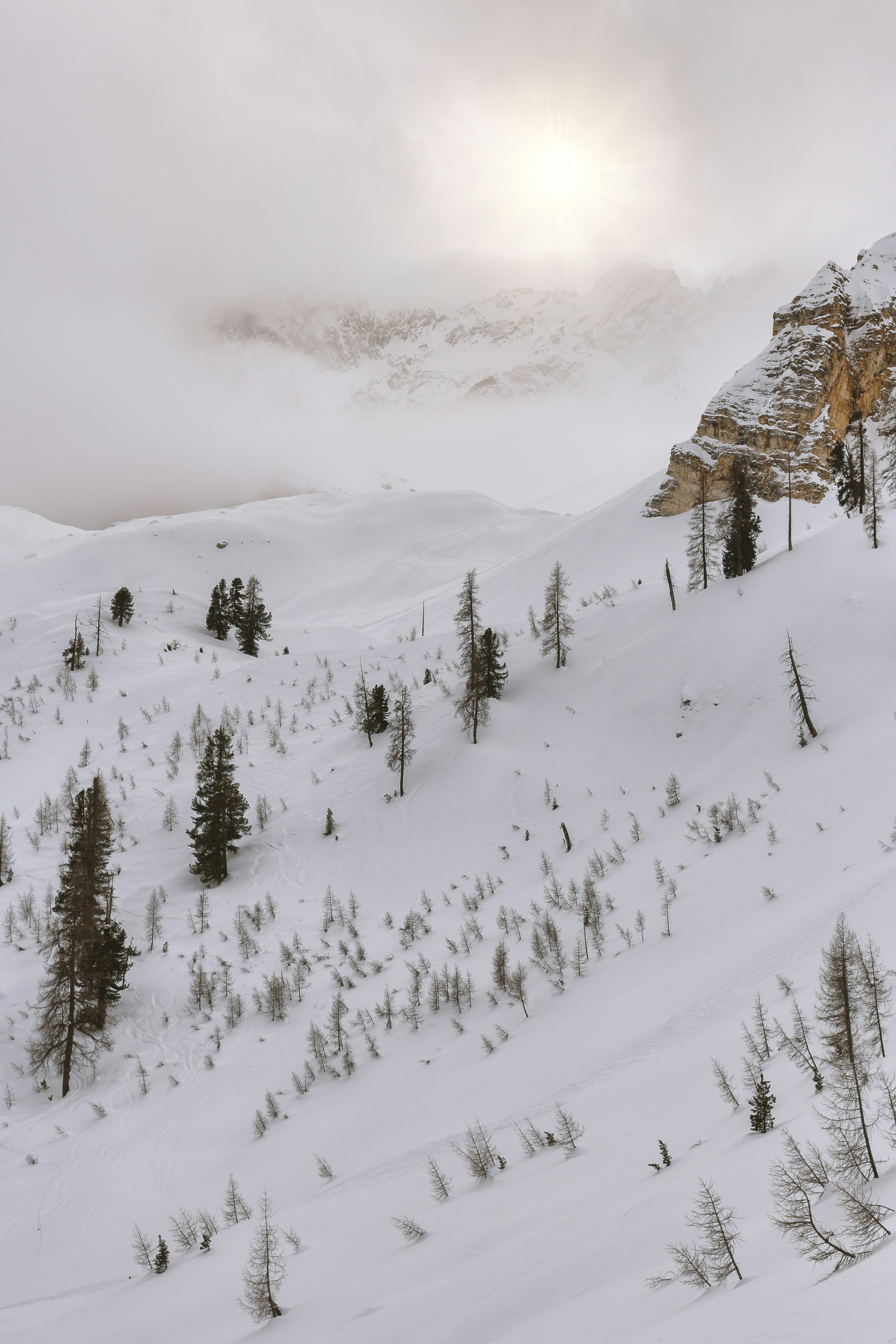 snow coated mountain with trees